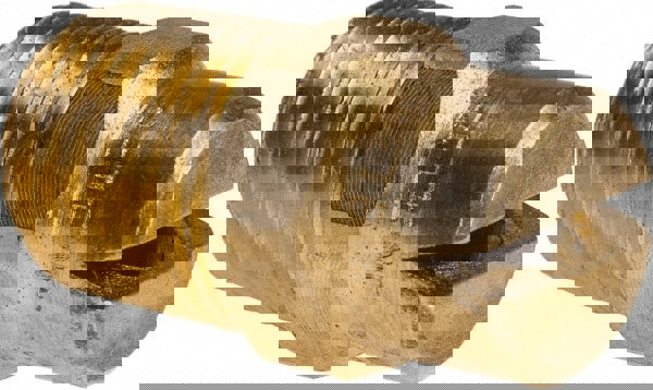 Brass Standard Fan Nozzle: 1/4